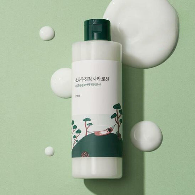 Round Lab pine tree calming cica lotion 250 ml