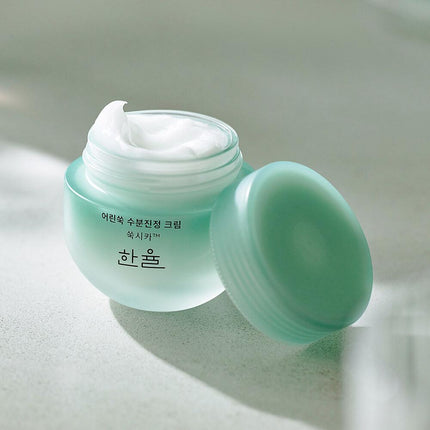 HANYUL Pure Artemisia Watery Calming Cream 55mL