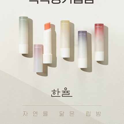 HANYUL Nature IN Life Lip Balm Choose 1 out of 5 options