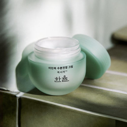HANYUL Pure Artemisia Watery Calming Cream 55mL