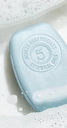 L'Occitane Purifying Freshness Solid Shampoo 60g