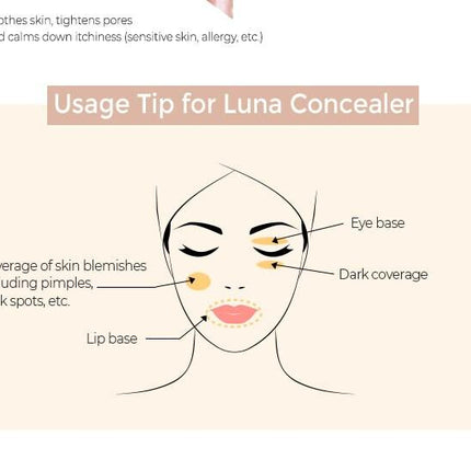 Luna Long Lasting Tip Concealer Big